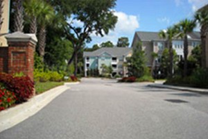 Charleston Lowcountry Charleston Landscape Charleston Sc Forevergreen Landscaping Forever Green Landscaping In Charleston Sc, Tree Service Charleston Sc, Valleycrest Landscaping, Greenery Charleston Sc, Valley Crest, Landscape Companies Charleston Sc