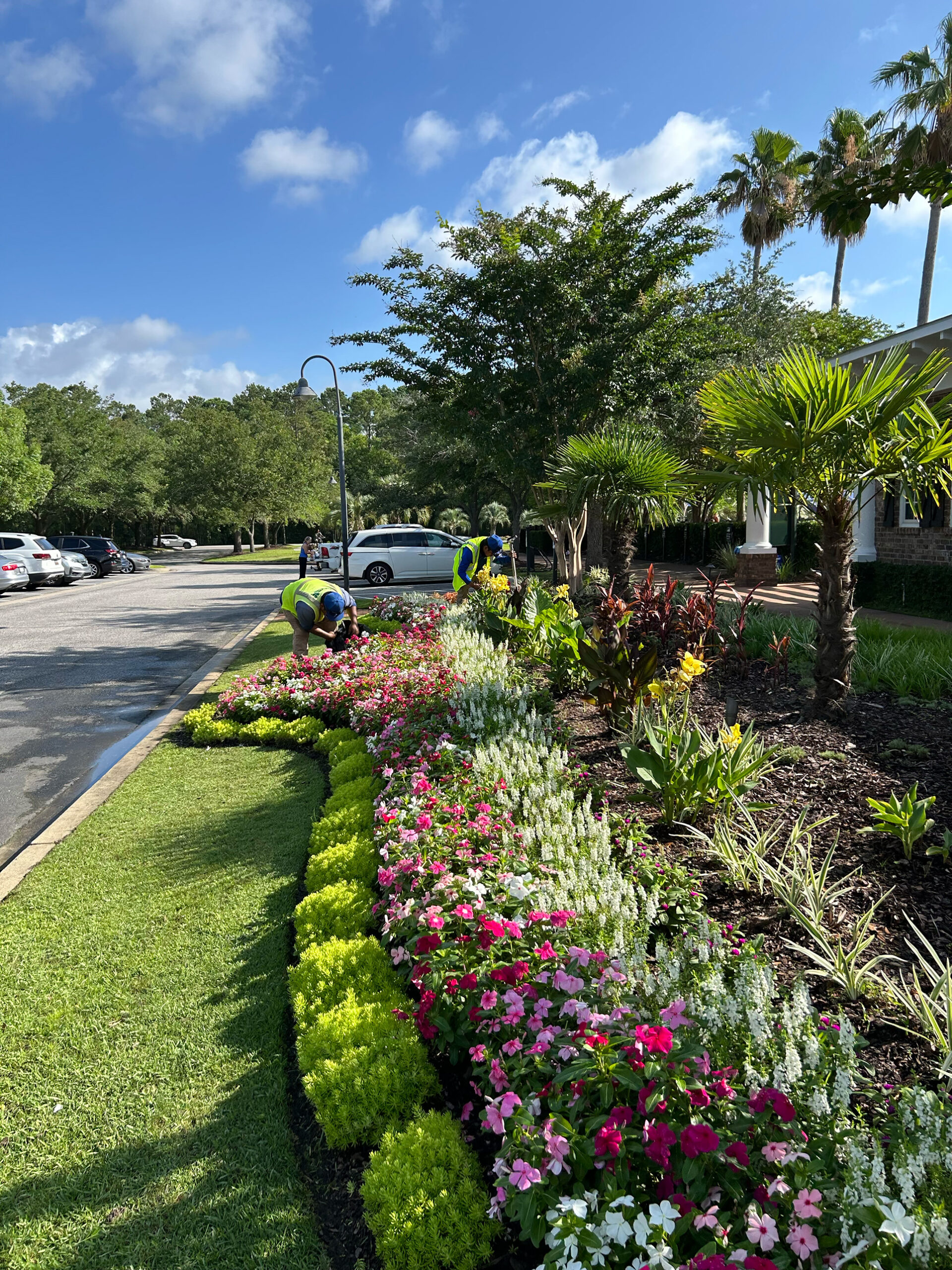Commercial Landscape Design 2 commercial landscaping Charleston