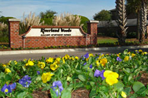 Commercial Landscaping In Charleston Sc, Landscaping Companies In Charleston Sc