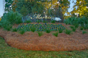 Charleston Lowcountry Charleston Landscape Charleston Sc Forevergreen Landscaping Forever Green Landscaping In Charleston Sc, Tree Service Charleston Sc, Valleycrest Landscaping, Greenery Charleston Sc, Valley Crest, Landscape Companies Charleston Sc